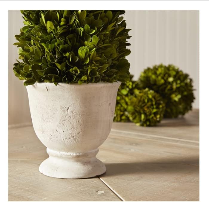 MY SWANKY HOME Elegant 19 in Cone Topiary in Pot Preserved Boxwood Greenery Faux Floral English