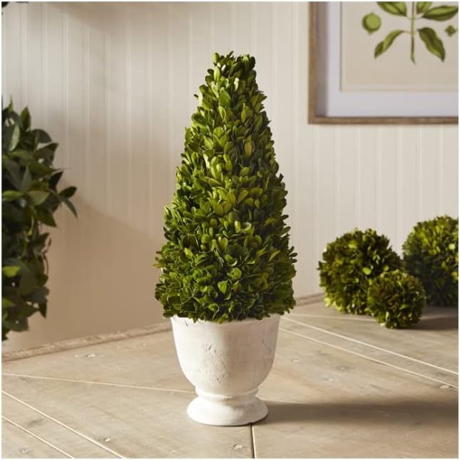 MY SWANKY HOME Elegant 19 in Cone Topiary in Pot Preserved Boxwood Greenery Faux Floral English