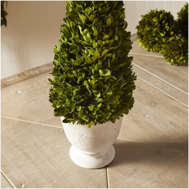 MY SWANKY HOME Elegant 19 in Cone Topiary in Pot Preserved Boxwood Greenery Faux Floral English