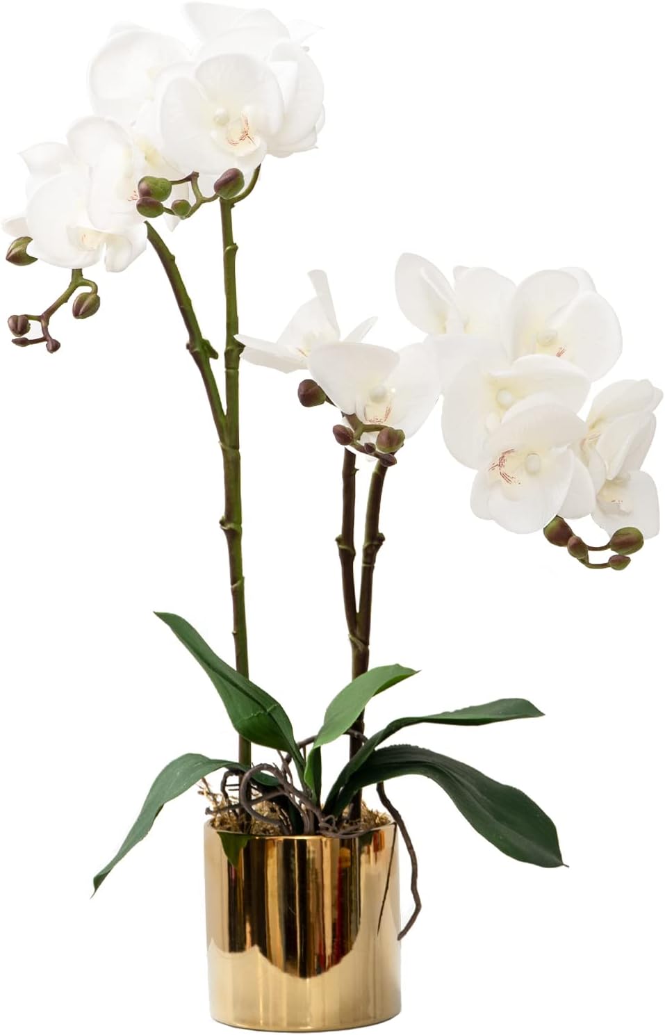 CXGS Artificial Orchid Flower Real Touch Faux Orchids in Ceramic Vase Large 22.9'' Fake Flowers Red Phalaenopsis Floral for Home Indoor Decor
