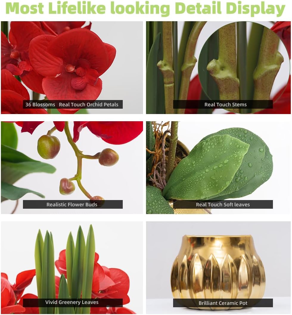 CXGS Artificial Orchid Flower Real Touch Faux Orchids in Ceramic Vase Large 22.9'' Fake Flowers Red Phalaenopsis Floral for Home Indoor Decor