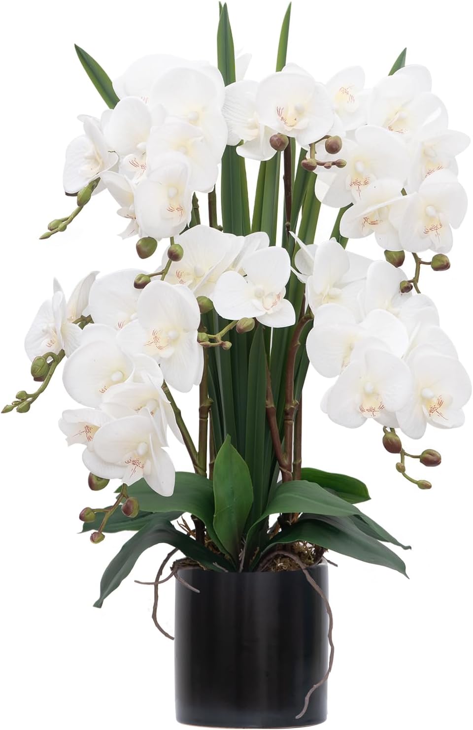 CXGS Artificial Orchid Flower Real Touch Faux Orchids in Ceramic Vase Large 22.9'' Fake Flowers Red Phalaenopsis Floral for Home Indoor Decor