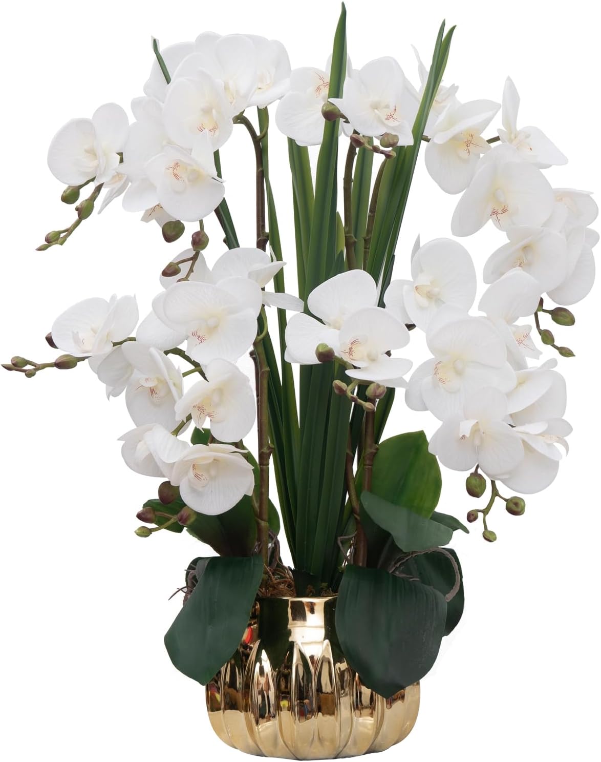 CXGS Artificial Orchid Flower Real Touch Faux Orchids in Ceramic Vase Large 22.9'' Fake Flowers Red Phalaenopsis Floral for Home Indoor Decor