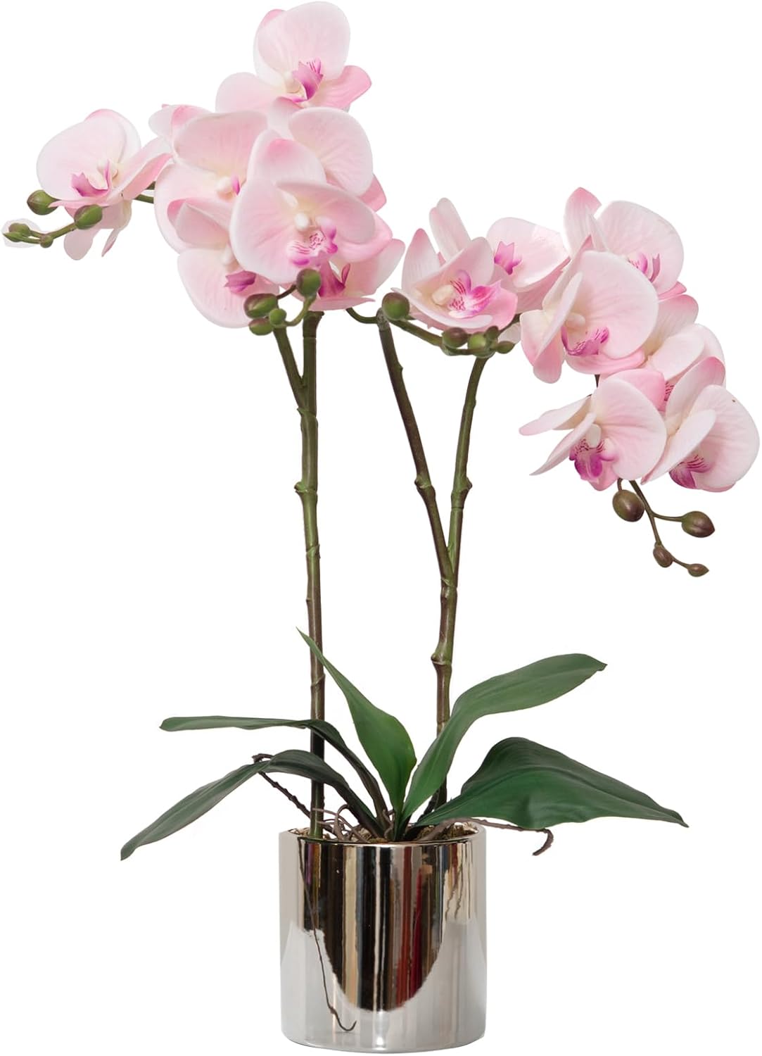 CXGS Artificial Orchid Flower Real Touch Faux Orchids in Ceramic Vase Large 22.9'' Fake Flowers Red Phalaenopsis Floral for Home Indoor Decor