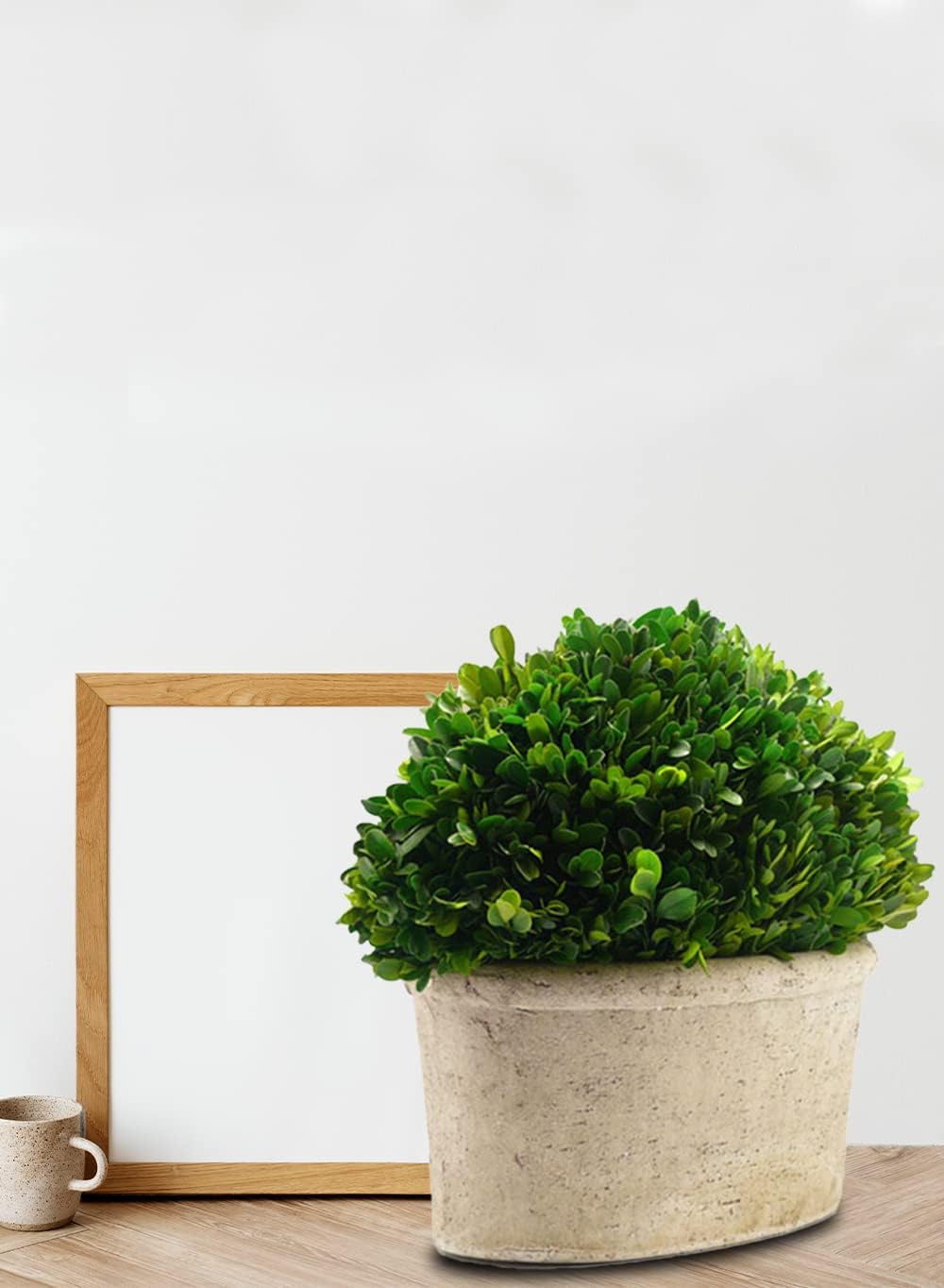 Serene Spaces Preserved Oval Topiary in a Pot, Measures 12.5" Tall, 7.5" Wide & 14" Long - Boxwood Centerpiece for Table Decor