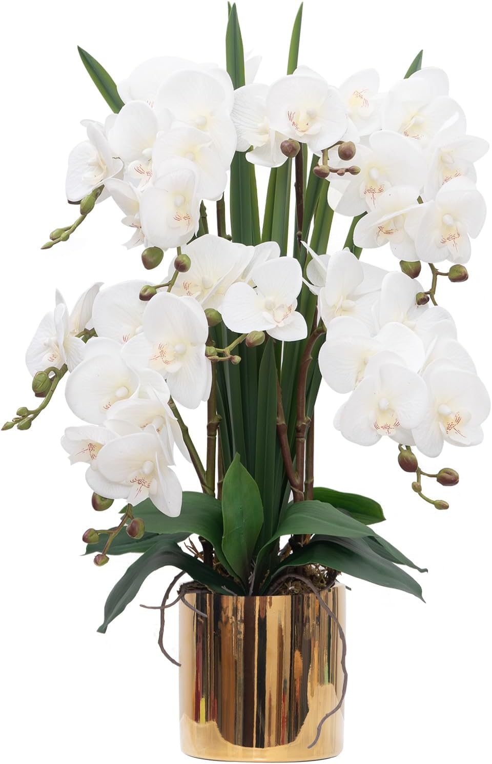 CXGS Artificial Orchid Flower Real Touch Faux Orchids in Ceramic Vase Large 22.9'' Fake Flowers Red Phalaenopsis Floral for Home Indoor Decor