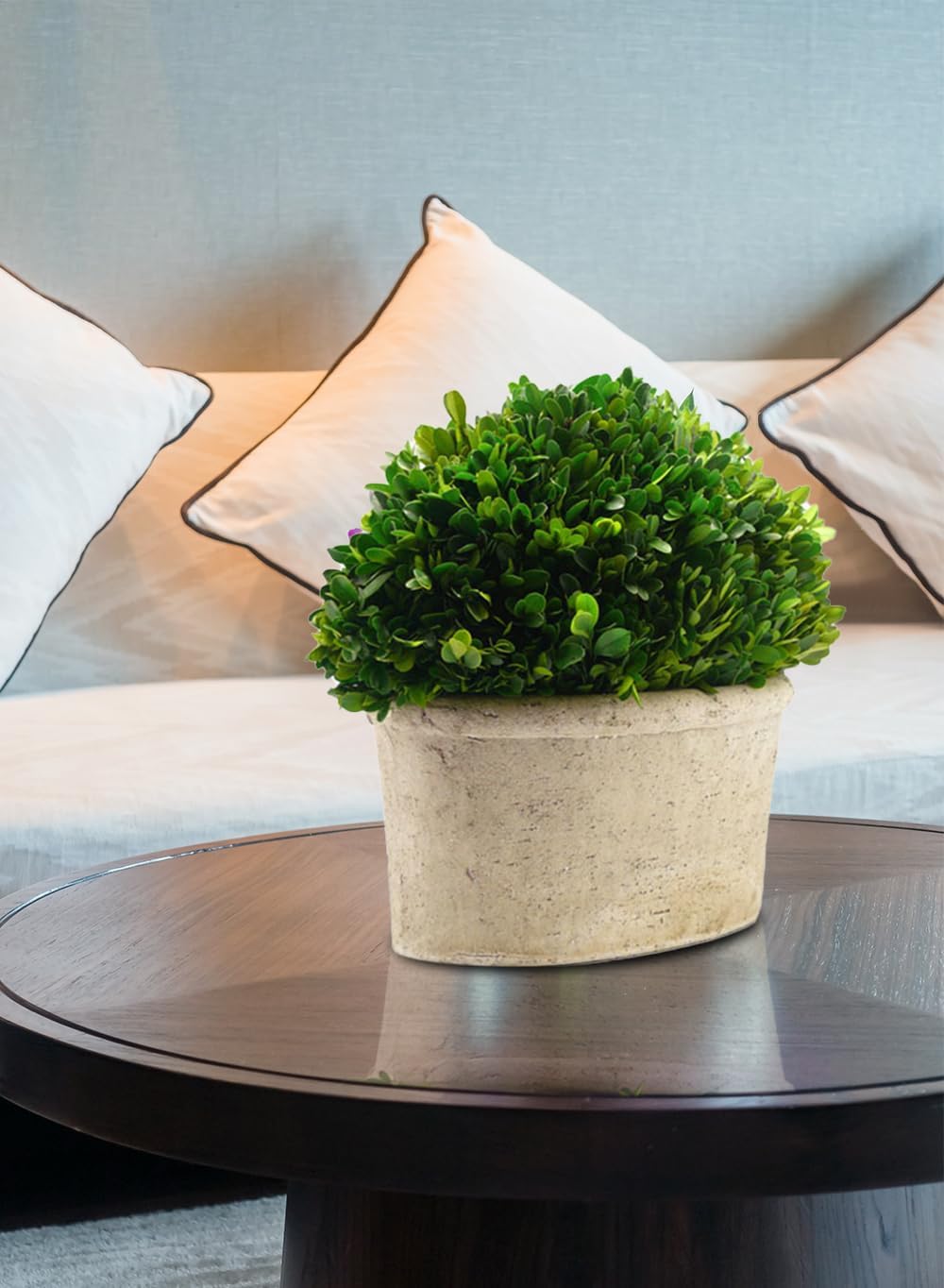 Serene Spaces Preserved Oval Topiary in a Pot, Measures 12.5" Tall, 7.5" Wide & 14" Long - Boxwood Centerpiece for Table Decor