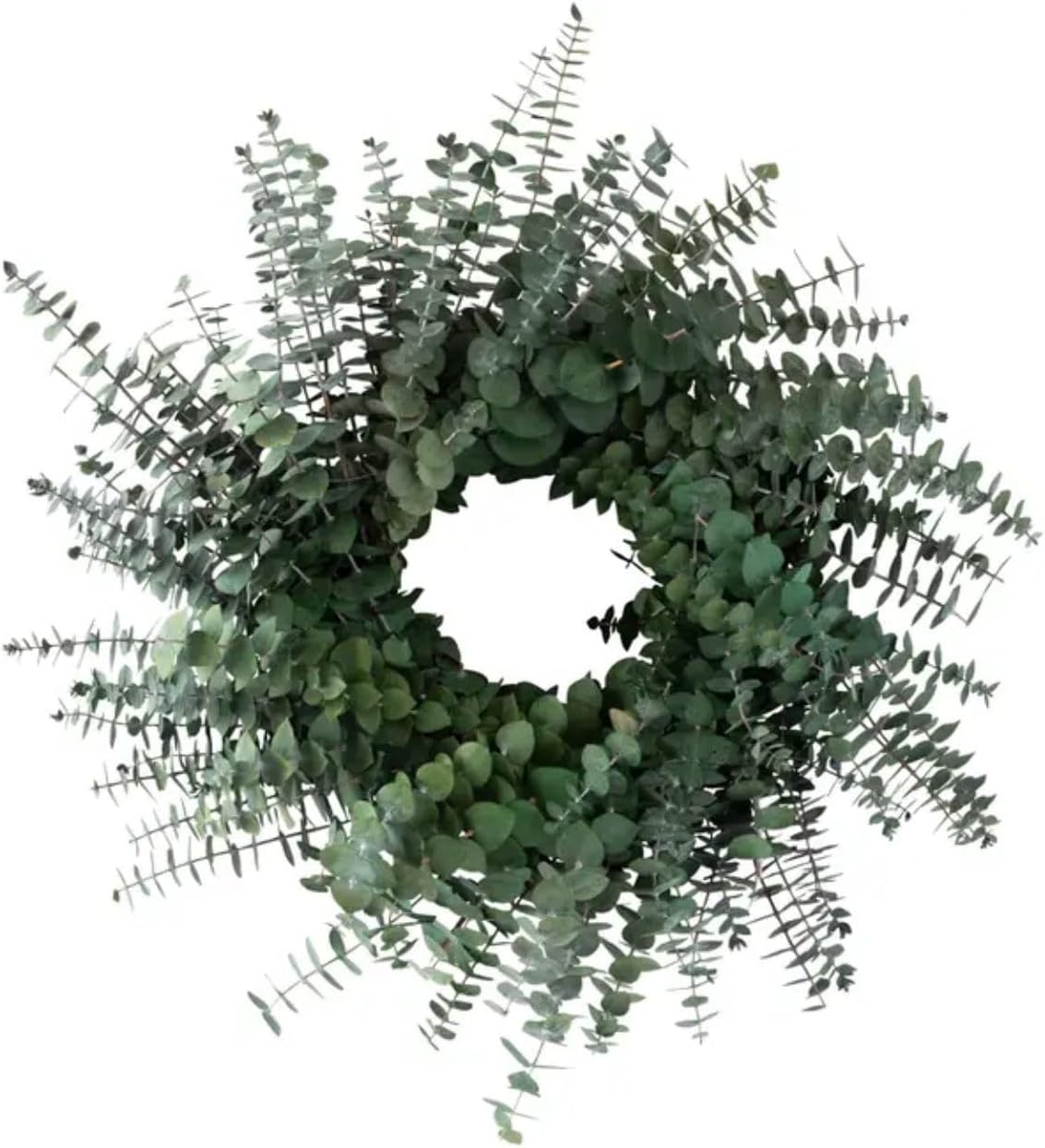 ANDALUCA 20" Preserved Willow and Silver Dollar Eucalyptus Wreath (Willow Silver Dollar)
