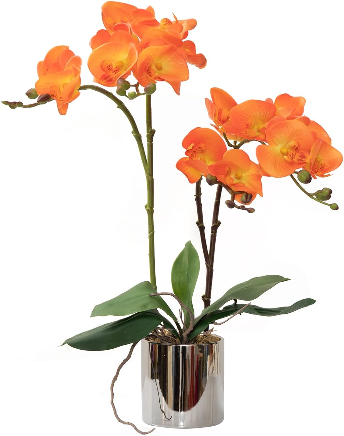 CXGS Artificial Orchid Flower Real Touch Faux Orchids in Ceramic Vase Large 22.9'' Fake Flowers Red Phalaenopsis Floral for Home Indoor Decor
