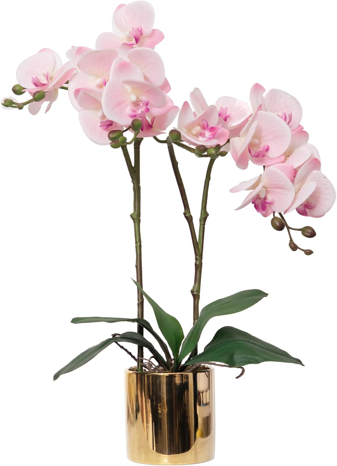 CXGS Artificial Orchid Flower Real Touch Faux Orchids in Ceramic Vase Large 22.9'' Fake Flowers Red Phalaenopsis Floral for Home Indoor Decor