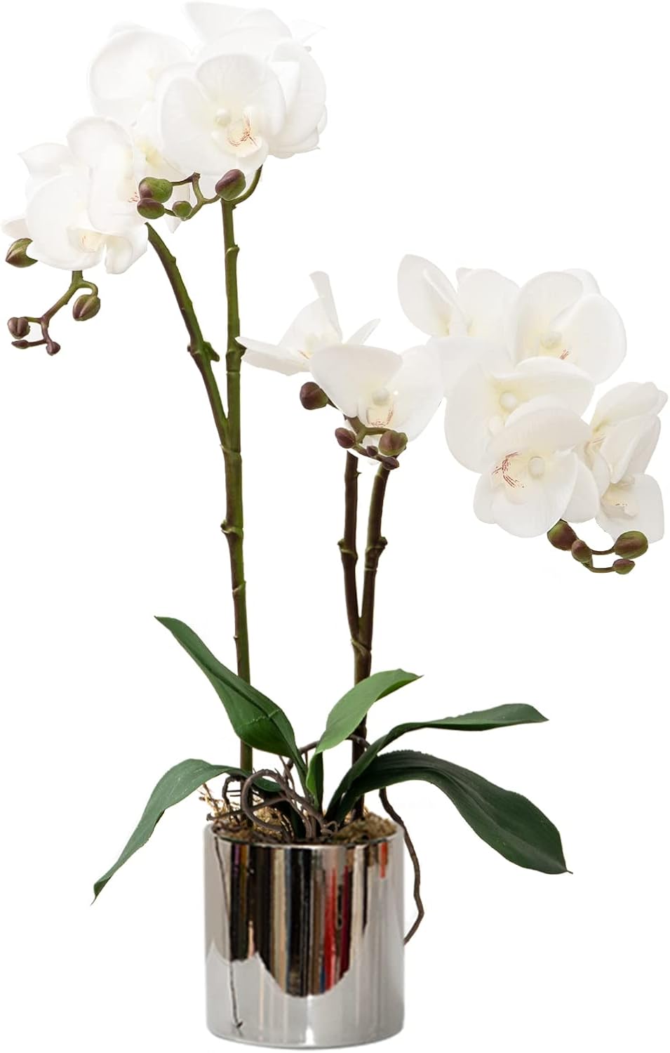 CXGS Artificial Orchid Flower Real Touch Faux Orchids in Ceramic Vase Large 22.9'' Fake Flowers Red Phalaenopsis Floral for Home Indoor Decor