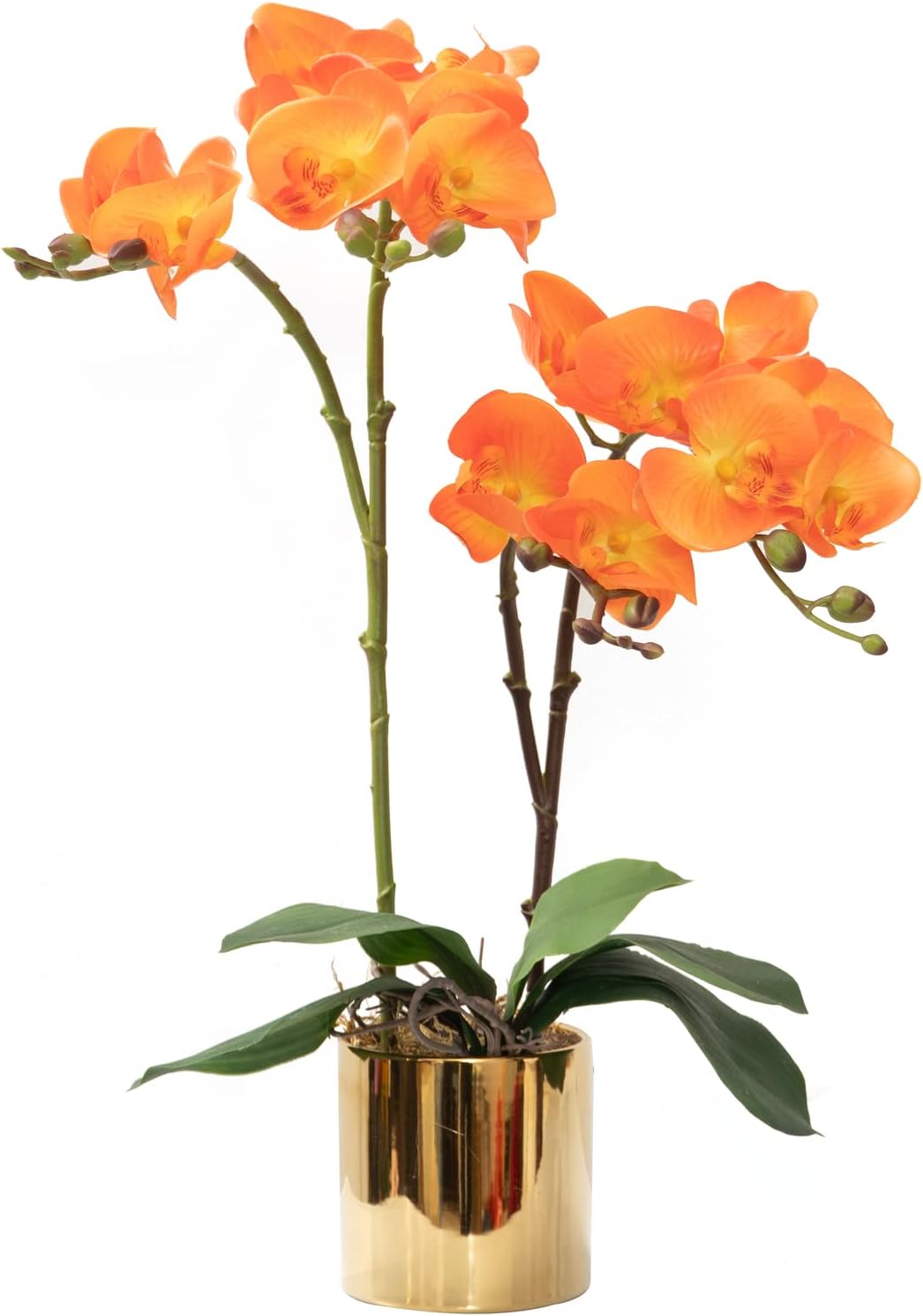 CXGS Artificial Orchid Flower Real Touch Faux Orchids in Ceramic Vase Large 22.9'' Fake Flowers Red Phalaenopsis Floral for Home Indoor Decor