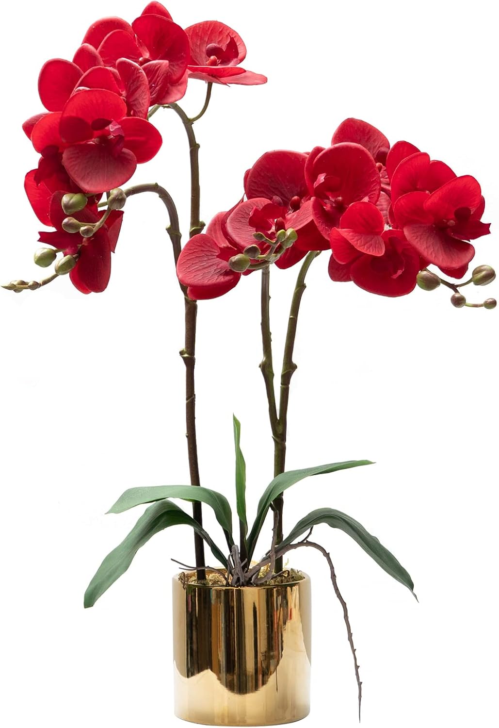 CXGS Artificial Orchid Flower Real Touch Faux Orchids in Ceramic Vase Large 22.9'' Fake Flowers Red Phalaenopsis Floral for Home Indoor Decor
