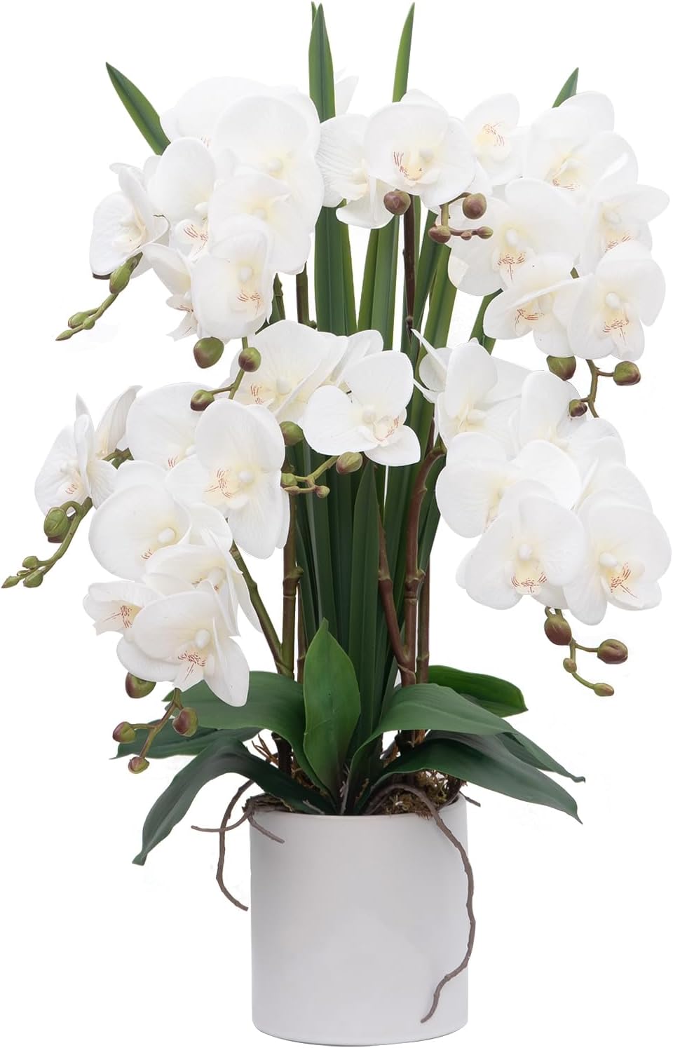 CXGS Artificial Orchid Flower Real Touch Faux Orchids in Ceramic Vase Large 22.9'' Fake Flowers Red Phalaenopsis Floral for Home Indoor Decor