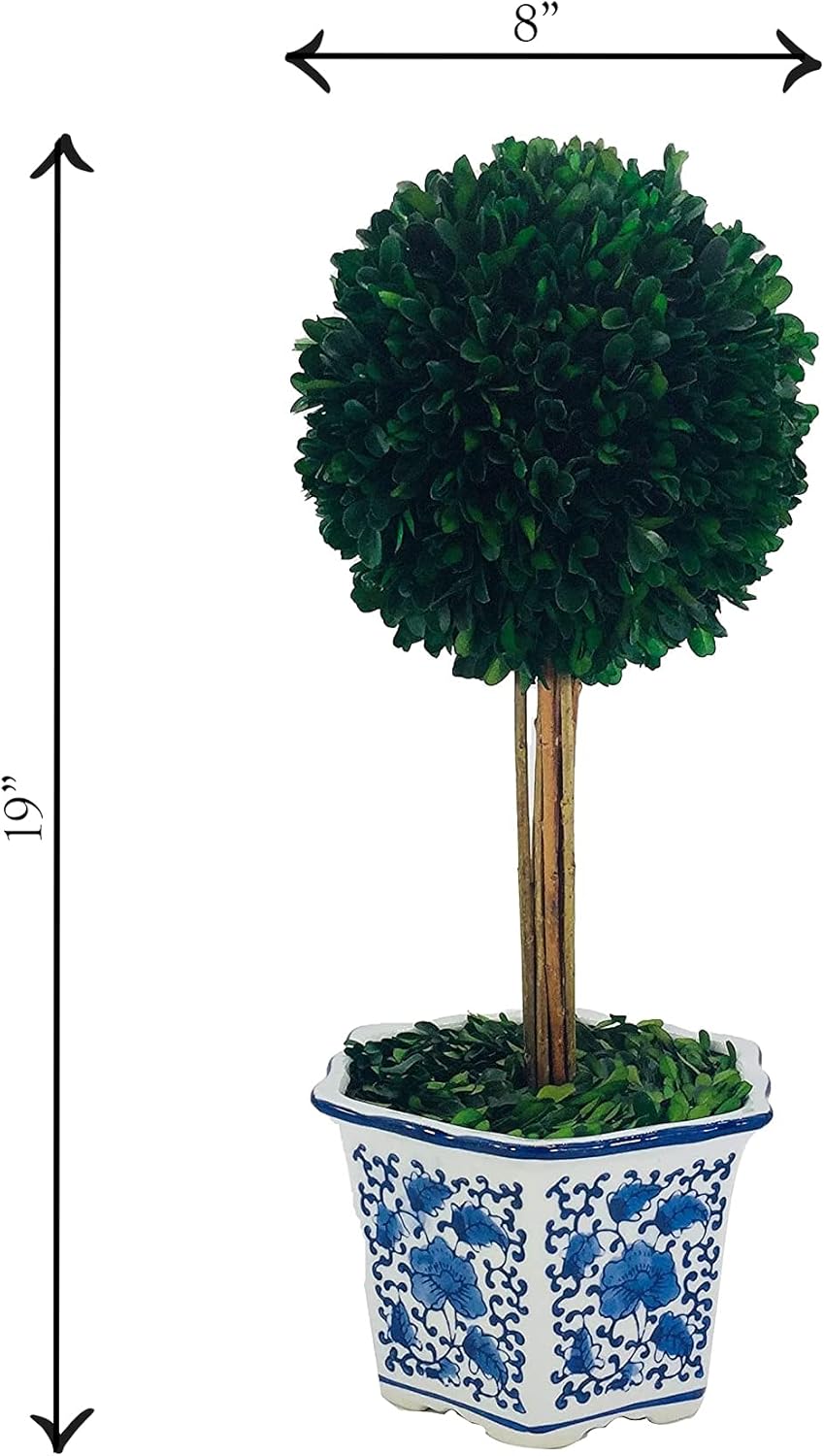 Galt International Naturally Preserved Boxwood Ball Topiary Tree in Hand Painted Blue & White Ceramic Pot Planter - European Rococo Home Decor Classic Chinoiserie - 8" Diameter Topiary 19" Tall