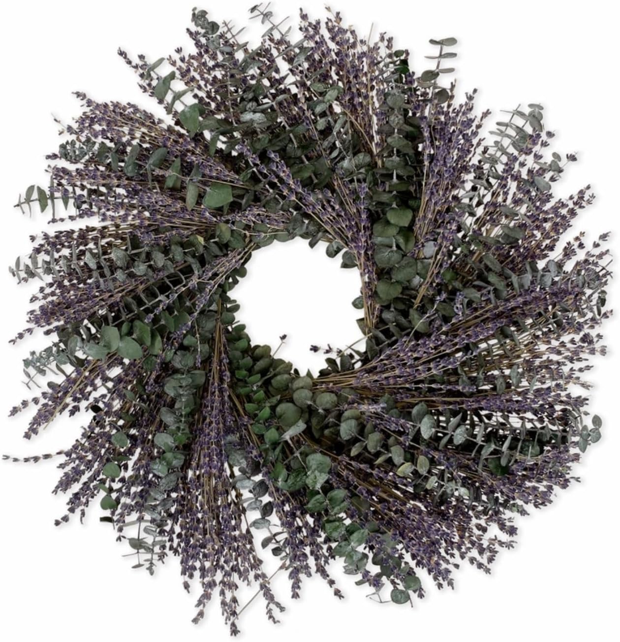 ANDALUCA 20" Preserved Willow and Silver Dollar Eucalyptus Wreath (Willow Silver Dollar)