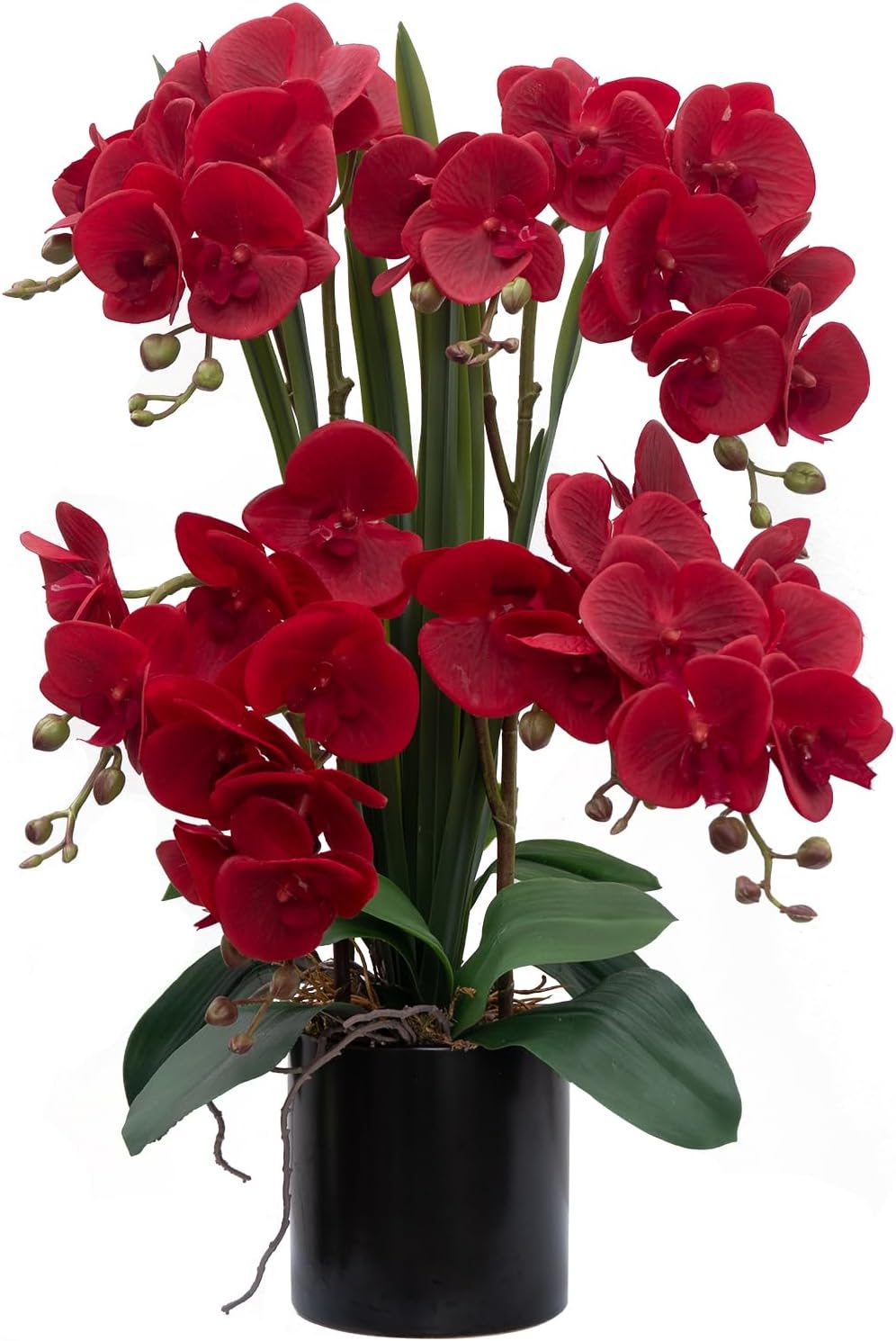 CXGS Artificial Orchid Flower Real Touch Faux Orchids in Ceramic Vase Large 22.9'' Fake Flowers Red Phalaenopsis Floral for Home Indoor Decor