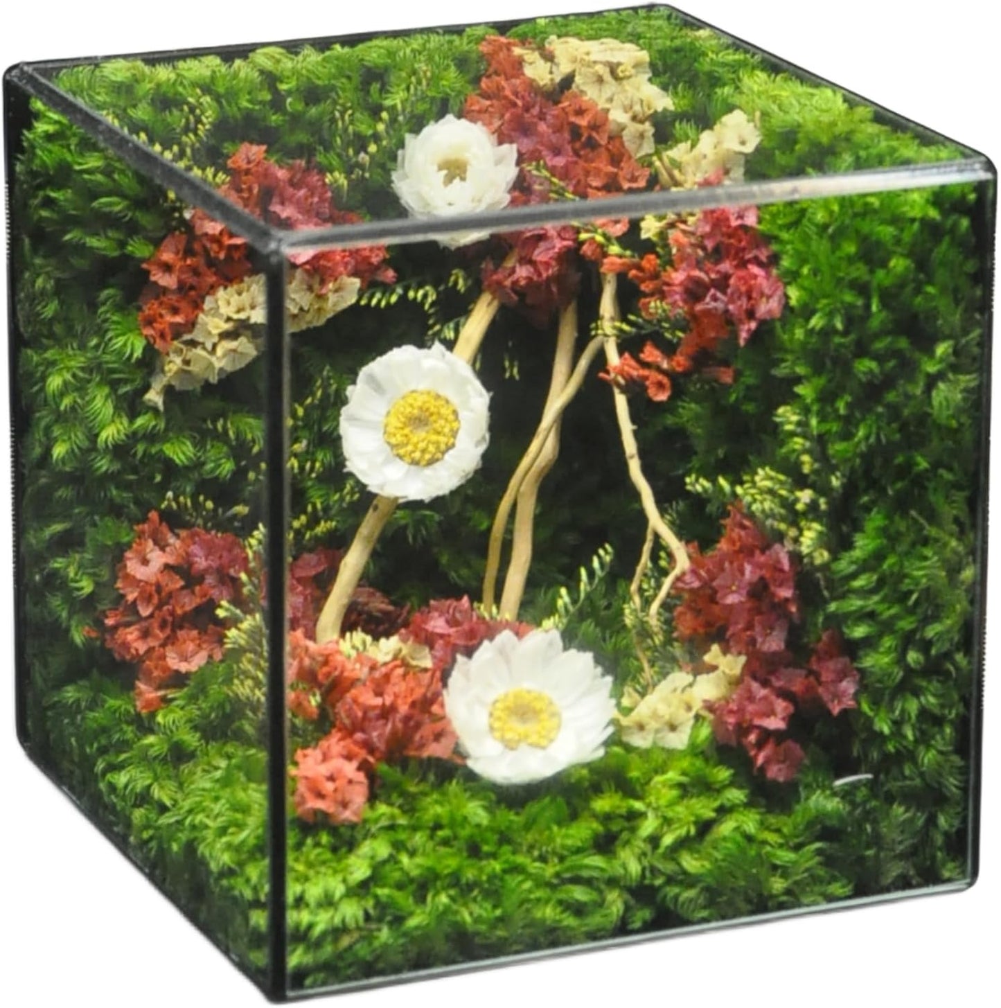 MOPHONICHOME Floral Art Glass Cube – Preserved Moss & Flowers in Elegant Display – Handmade Botanical Gift for Birthdays, Weddings, Housewarming - No-Maintenance, Forever Flowers in Glass