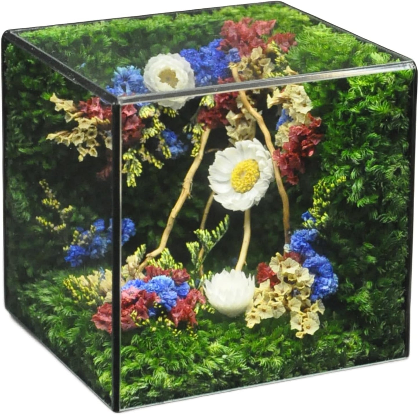 MOPHONICHOME Floral Art Glass Cube – Preserved Moss & Flowers in Elegant Display – Handmade Botanical Gift for Birthdays, Weddings, Housewarming - No-Maintenance, Forever Flowers in Glass