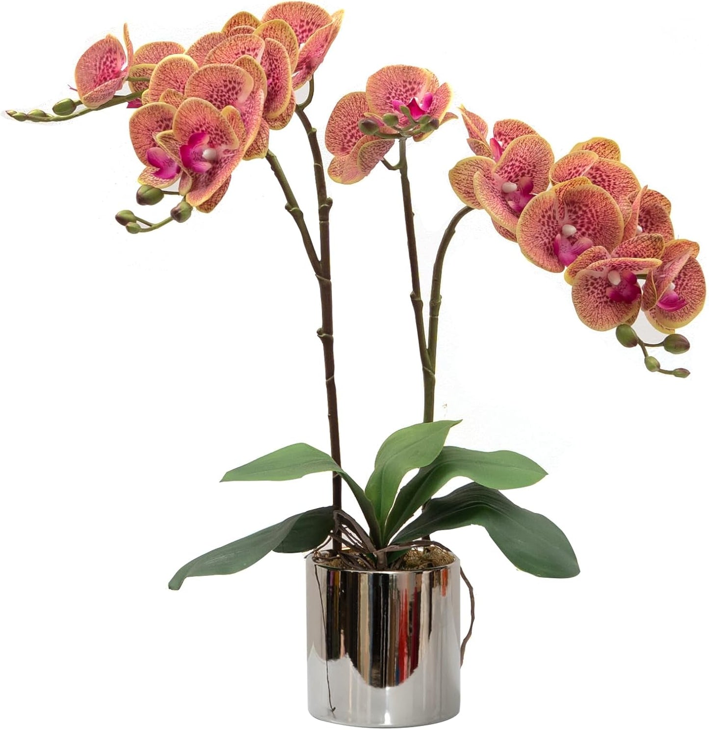 CXGS Artificial Orchid Flower Real Touch Faux Orchids in Ceramic Vase Large 22.9'' Fake Flowers Red Phalaenopsis Floral for Home Indoor Decor