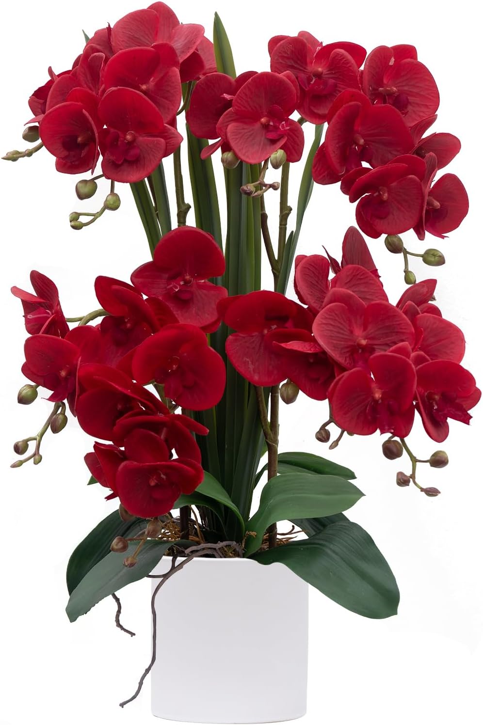 CXGS Artificial Orchid Flower Real Touch Faux Orchids in Ceramic Vase Large 22.9'' Fake Flowers Red Phalaenopsis Floral for Home Indoor Decor