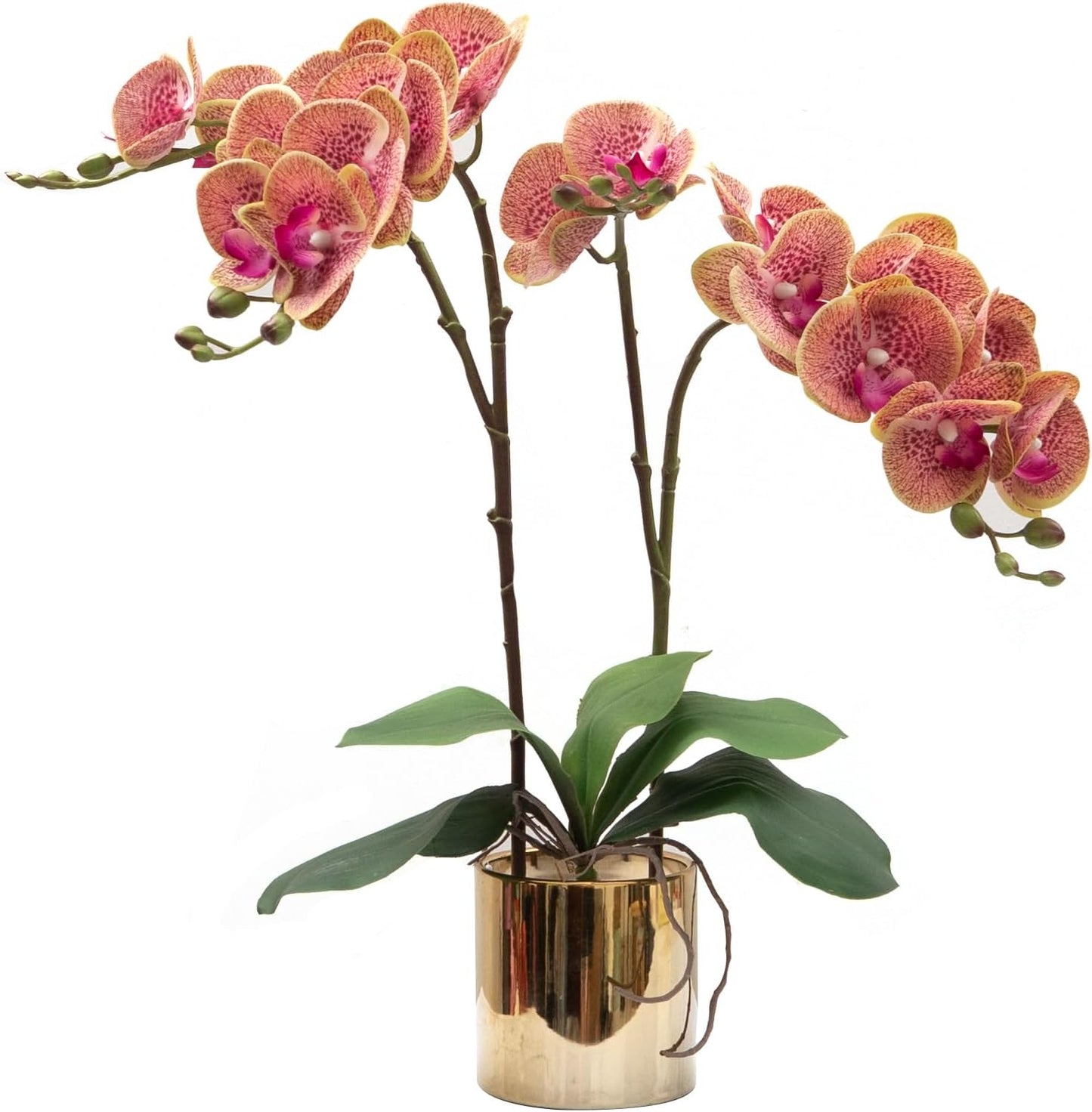 CXGS Artificial Orchid Flower Real Touch Faux Orchids in Ceramic Vase Large 22.9'' Fake Flowers Red Phalaenopsis Floral for Home Indoor Decor