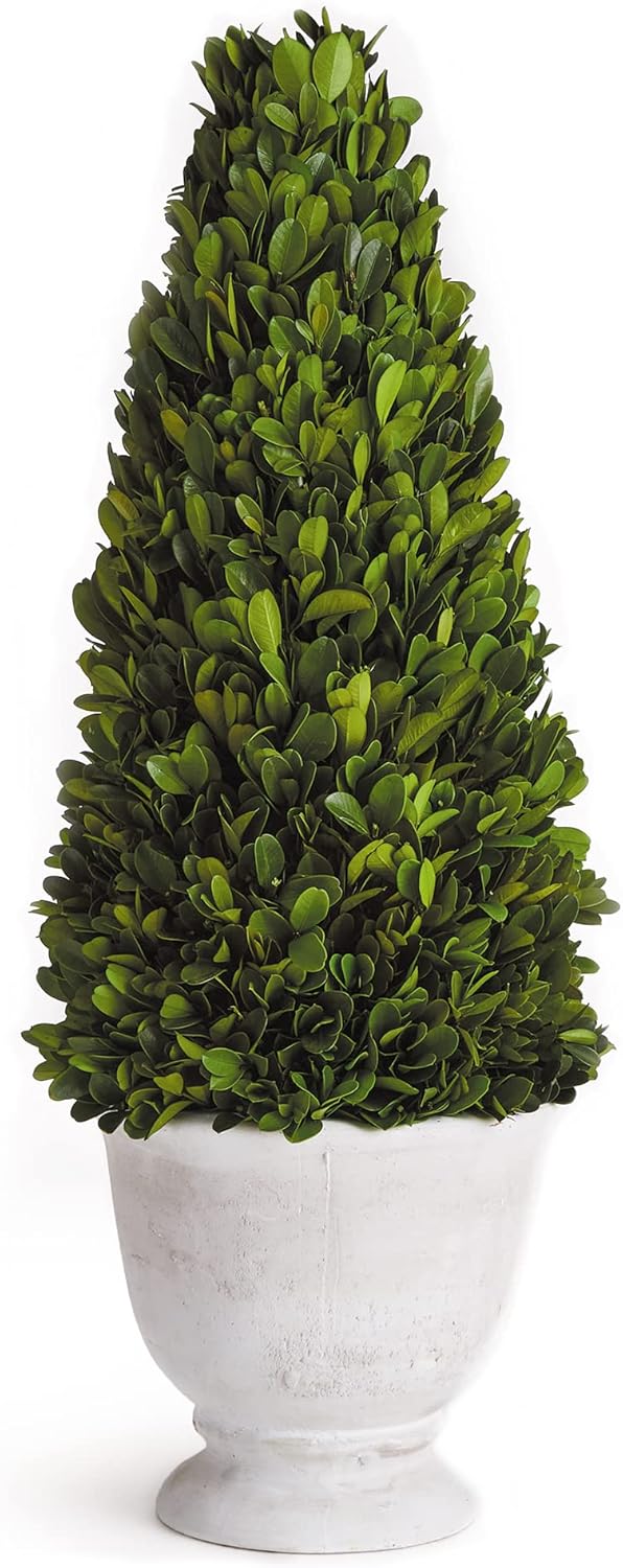 MY SWANKY HOME Elegant 19 in Cone Topiary in Pot Preserved Boxwood Greenery Faux Floral English