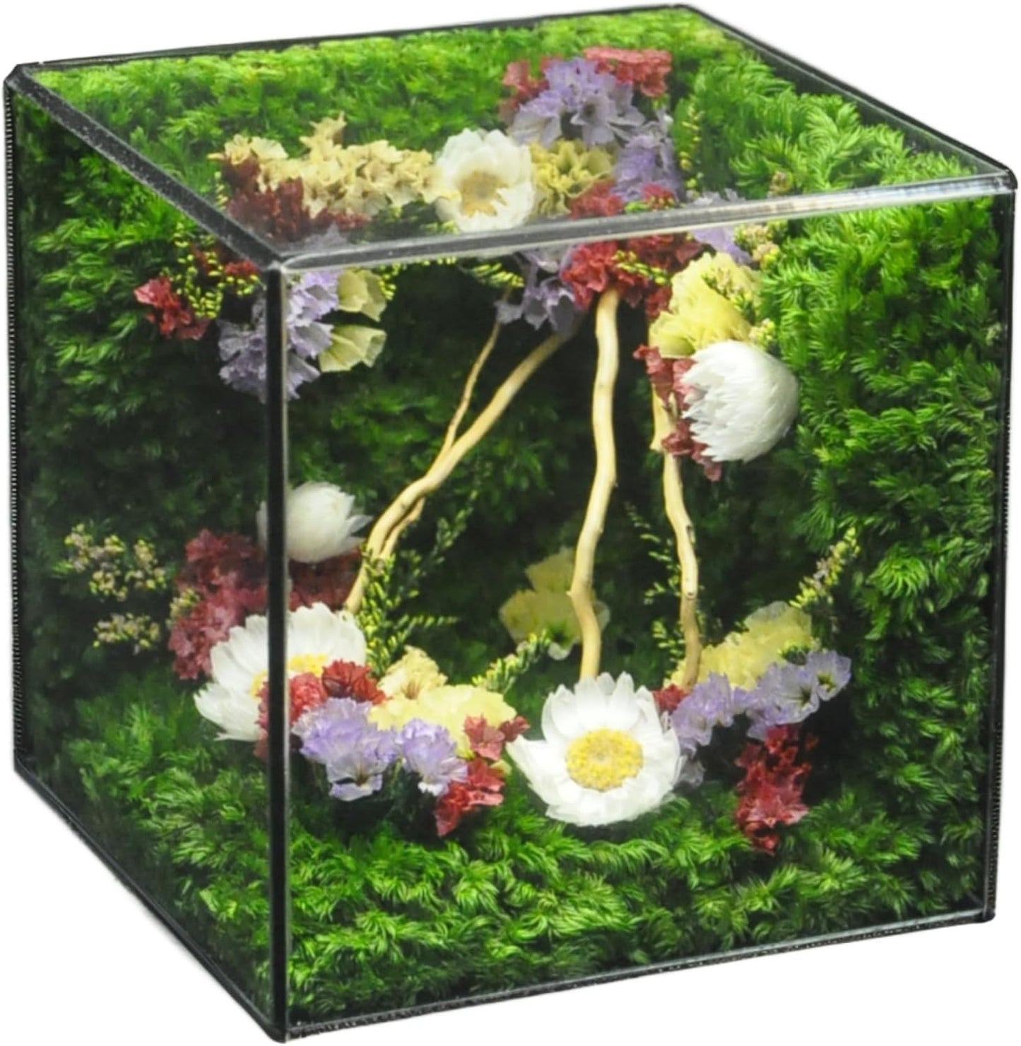 MOPHONICHOME Floral Art Glass Cube – Preserved Moss & Flowers in Elegant Display – Handmade Botanical Gift for Birthdays, Weddings, Housewarming - No-Maintenance, Forever Flowers in Glass