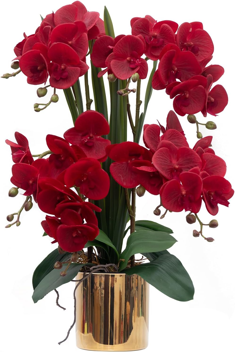 CXGS Artificial Orchid Flower Real Touch Faux Orchids in Ceramic Vase Large 22.9'' Fake Flowers Red Phalaenopsis Floral for Home Indoor Decor