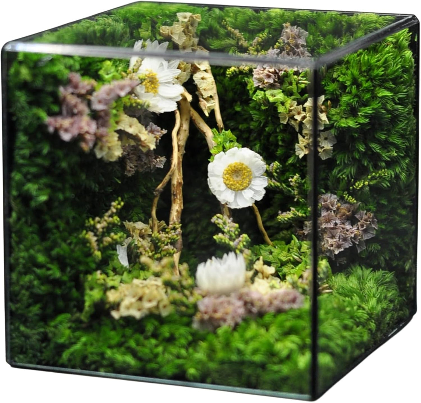 MOPHONICHOME Floral Art Glass Cube – Preserved Moss & Flowers in Elegant Display – Handmade Botanical Gift for Birthdays, Weddings, Housewarming - No-Maintenance, Forever Flowers in Glass