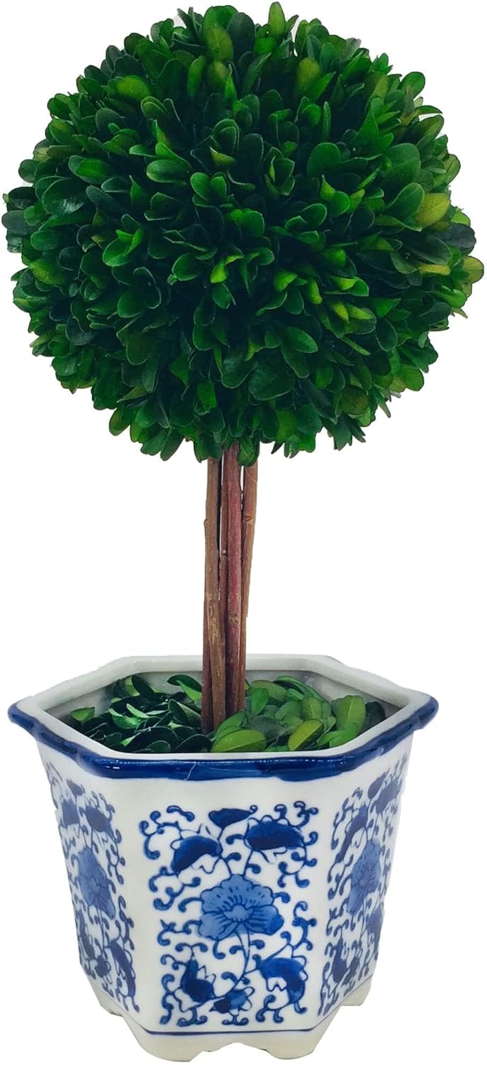 Galt International Naturally Preserved Boxwood Ball Topiary Tree in Hand Painted Blue & White Ceramic Pot Planter - European Rococo Home Decor Classic Chinoiserie - 8" Diameter Topiary 19" Tall