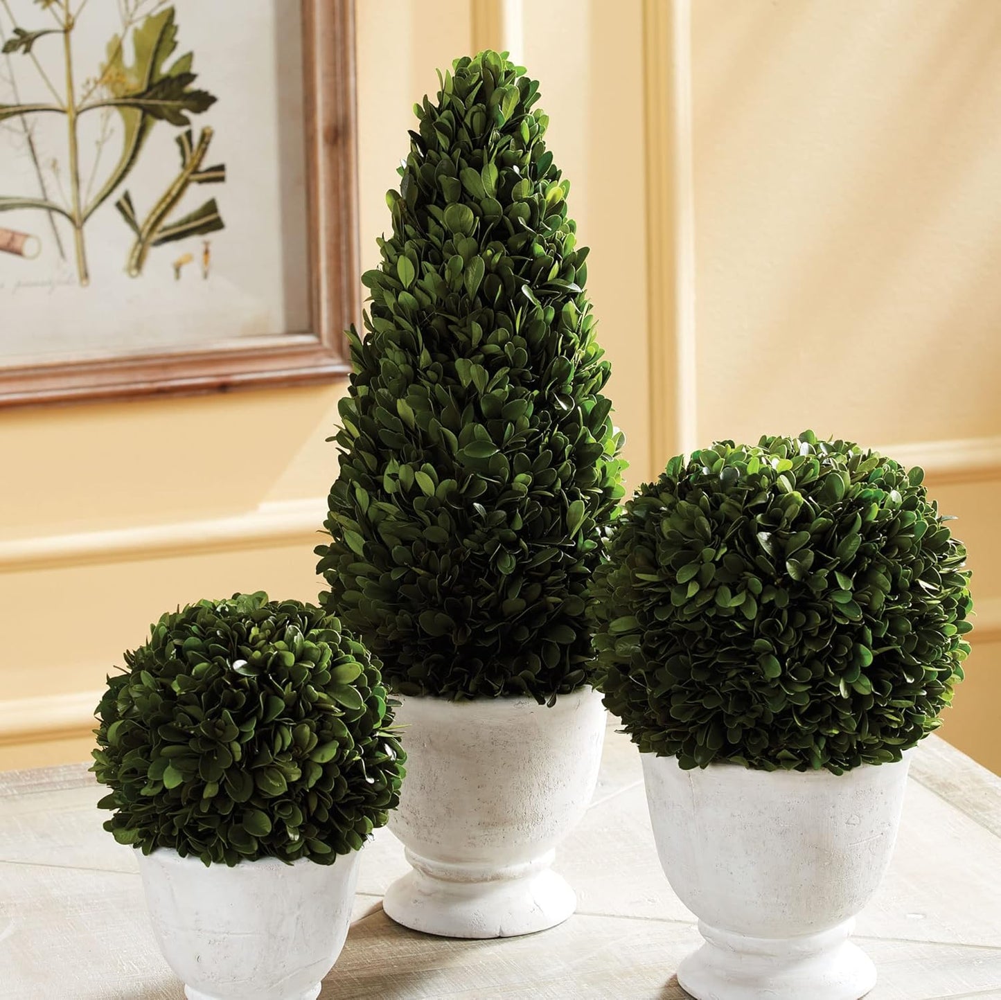 MY SWANKY HOME Elegant 19 in Cone Topiary in Pot Preserved Boxwood Greenery Faux Floral English