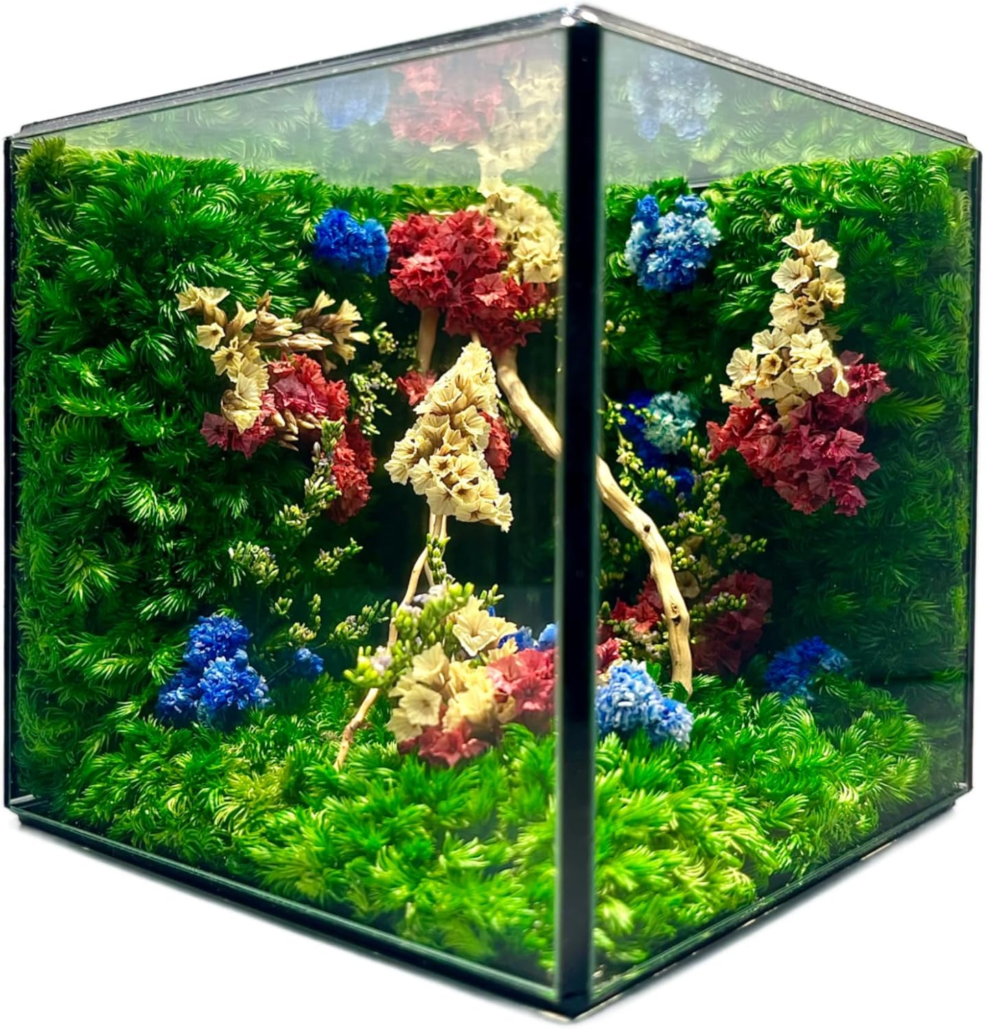 MOPHONICHOME Floral Art Glass Cube – Preserved Moss & Flowers in Elegant Display – Handmade Botanical Gift for Birthdays, Weddings, Housewarming - No-Maintenance, Forever Flowers in Glass