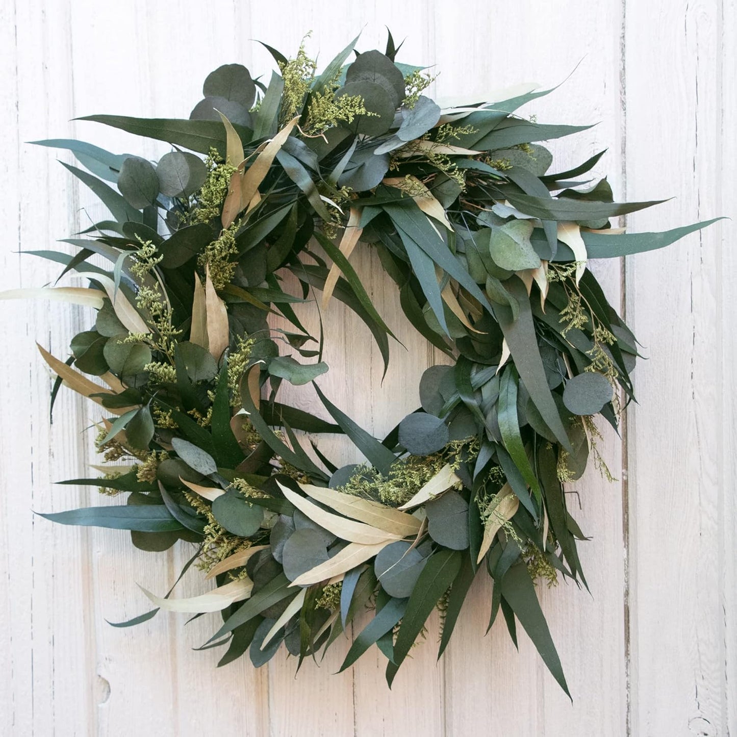 ANDALUCA 20" Preserved Willow and Silver Dollar Eucalyptus Wreath (Willow Silver Dollar)