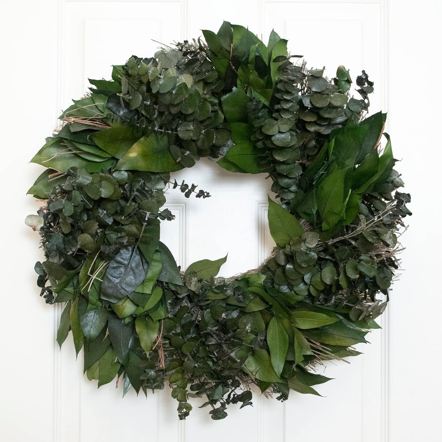 ANDALUCA 20" Preserved Willow and Silver Dollar Eucalyptus Wreath (Willow Silver Dollar)