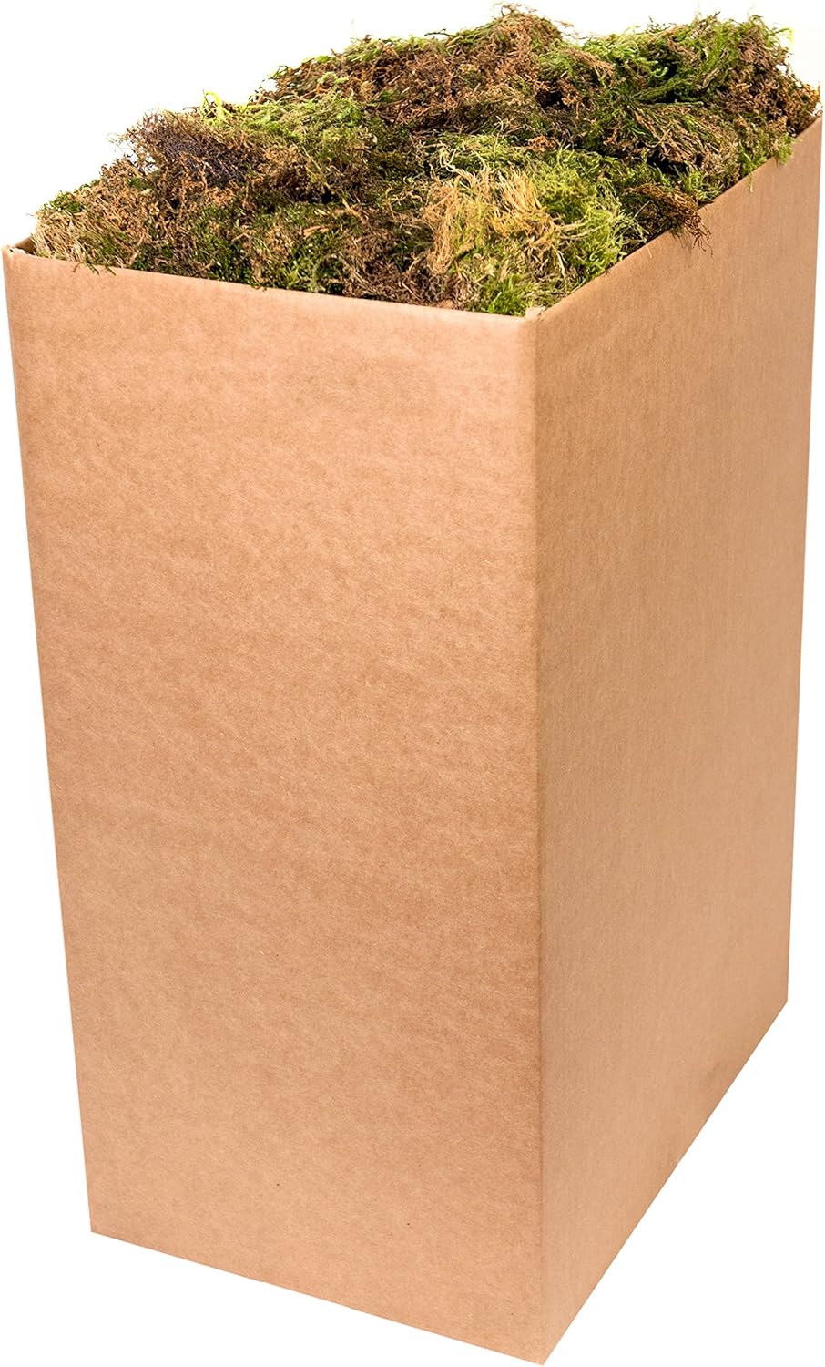 SuperMoss (25325) Forest Moss Preserved, Fresh Green, 3 Pounds