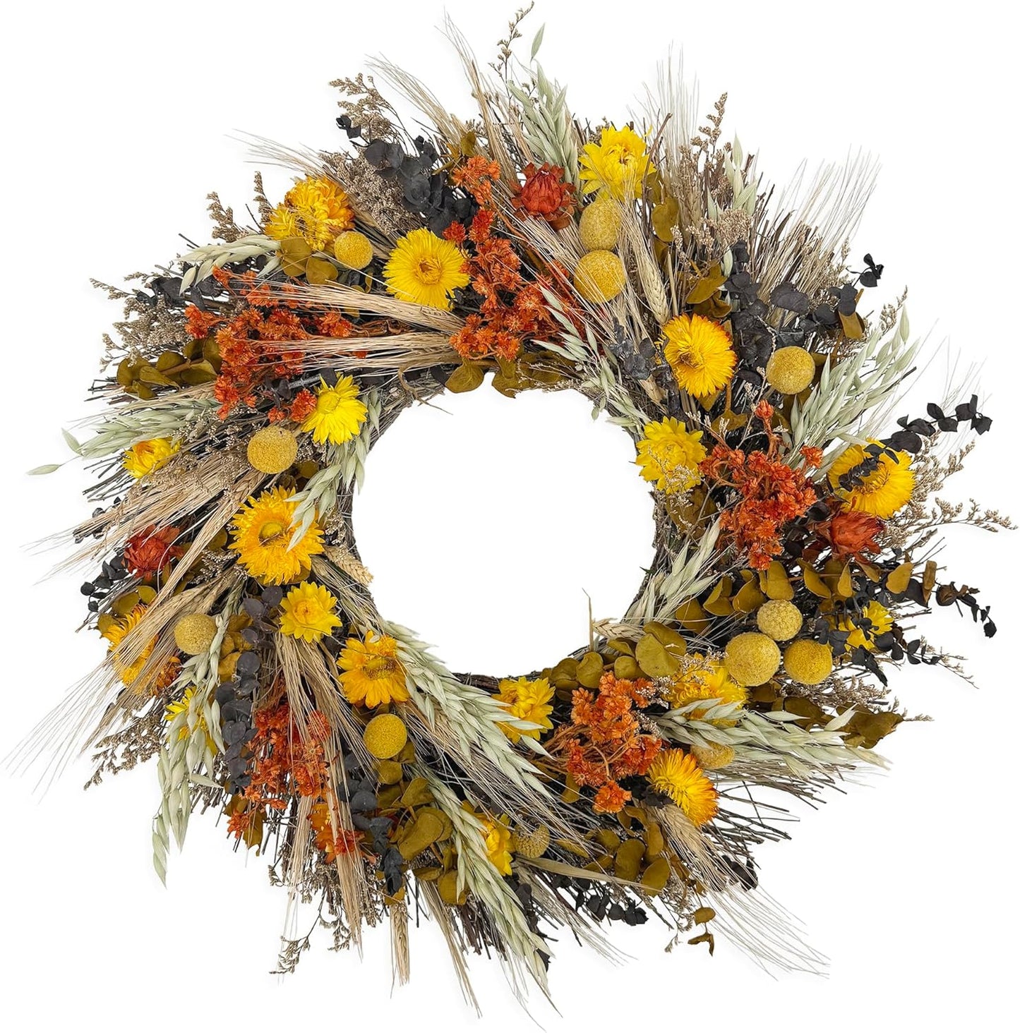 ANDALUCA 20" Preserved Willow and Silver Dollar Eucalyptus Wreath (Willow Silver Dollar)