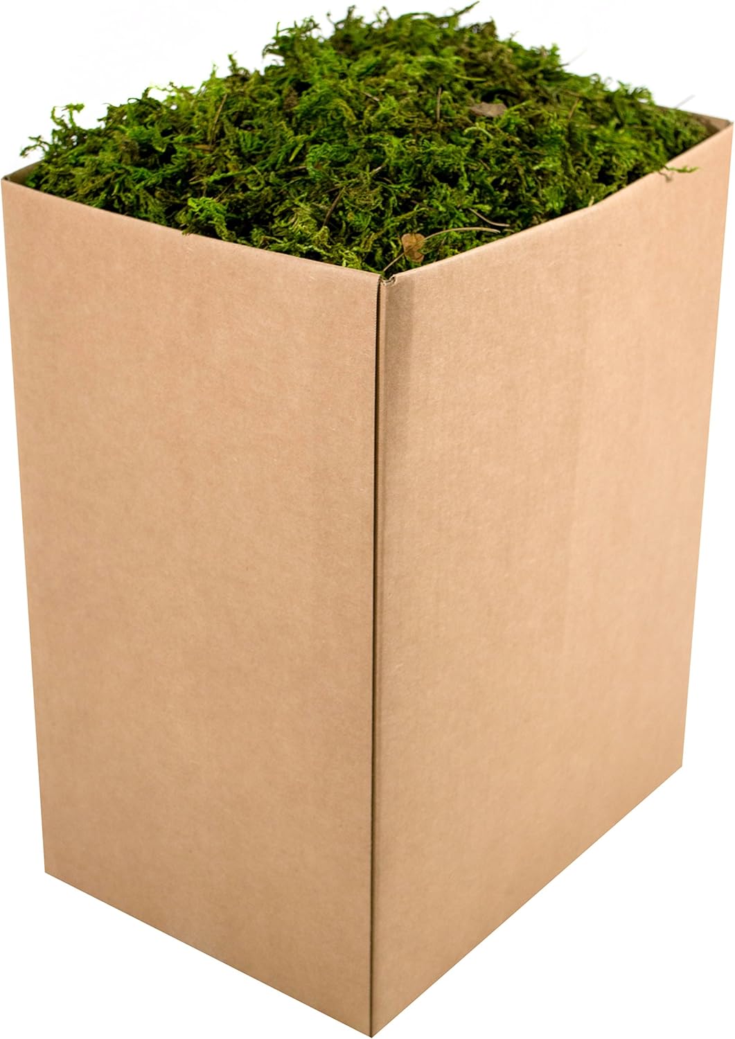 SuperMoss (25325) Forest Moss Preserved, Fresh Green, 3 Pounds