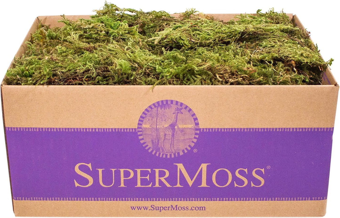 SuperMoss (25325) Forest Moss Preserved, Fresh Green, 3 Pounds