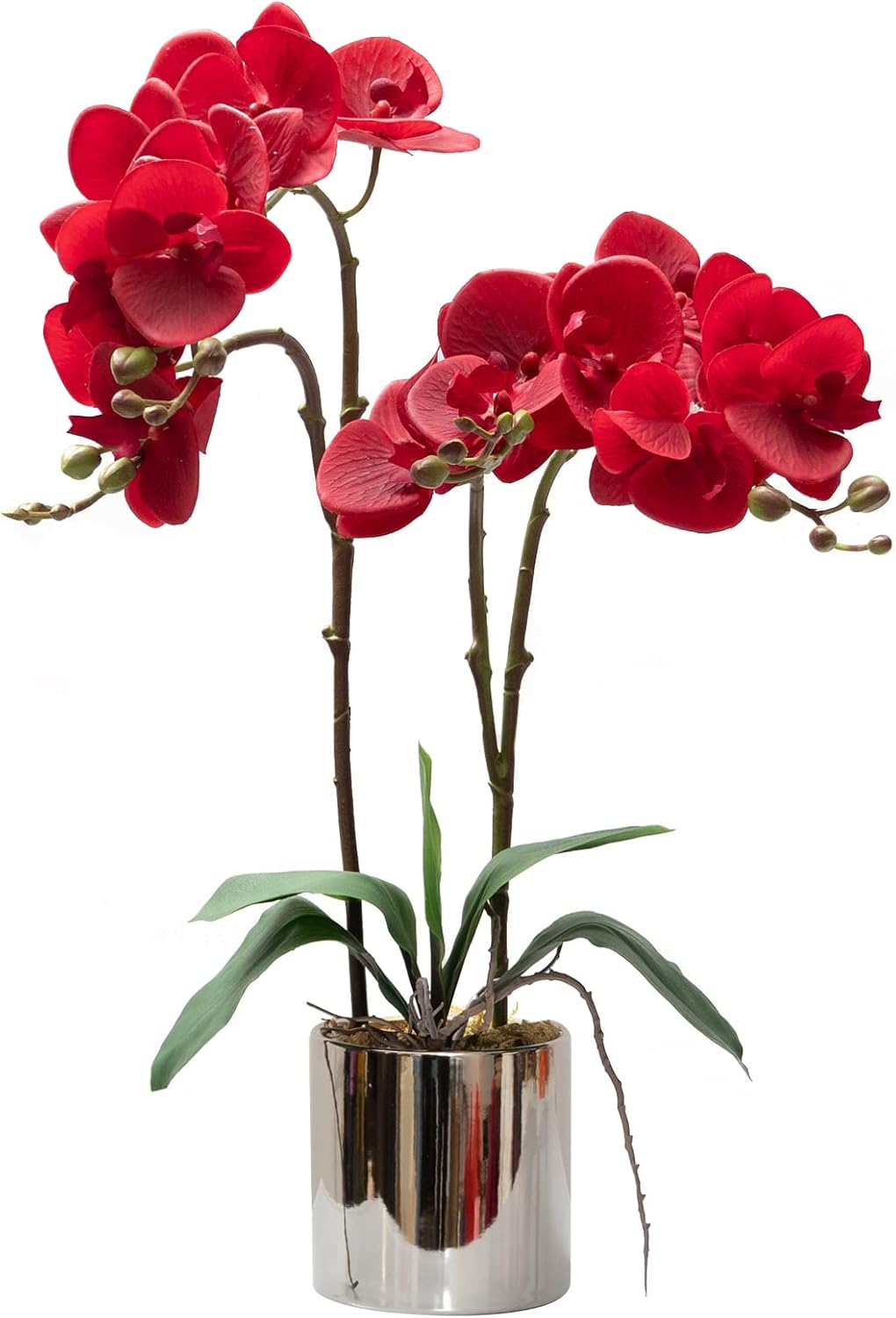 CXGS Artificial Orchid Flower Real Touch Faux Orchids in Ceramic Vase Large 22.9'' Fake Flowers Red Phalaenopsis Floral for Home Indoor Decor