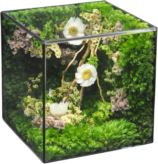MOPHONICHOME Floral Art Glass Cube – Preserved Moss & Flowers in Elegant Display – Handmade Botanical Gift for Birthdays, Weddings, Housewarming - No-Maintenance, Forever Flowers in Glass