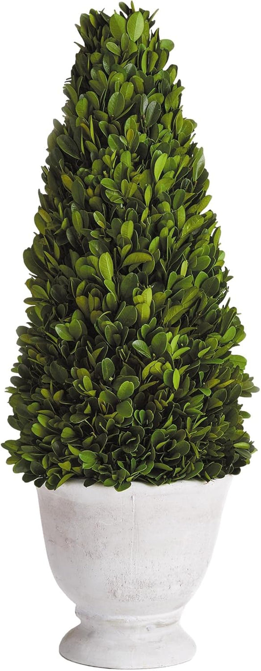 MY SWANKY HOME Elegant 19 in Cone Topiary in Pot Preserved Boxwood Greenery Faux Floral English