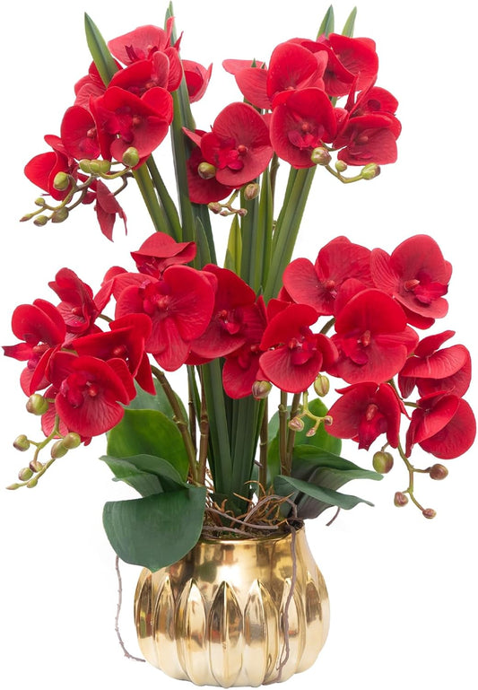 CXGS Artificial Orchid Flower Real Touch Faux Orchids in Ceramic Vase Large 22.9'' Fake Flowers Red Phalaenopsis Floral for Home Indoor Decor