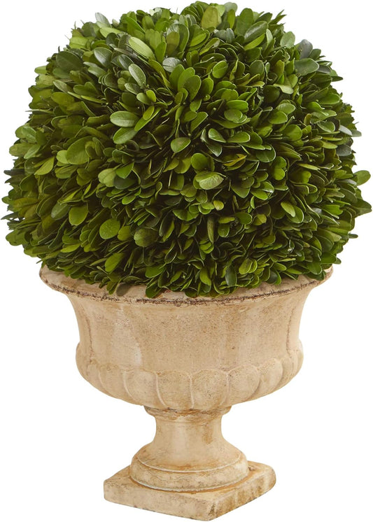 Nearly Natural 12in. Boxwood Topiary Ball Preserved Plant in Decorative Urn