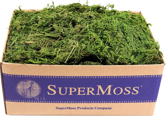 SuperMoss (25325) Forest Moss Preserved, Fresh Green, 3 Pounds